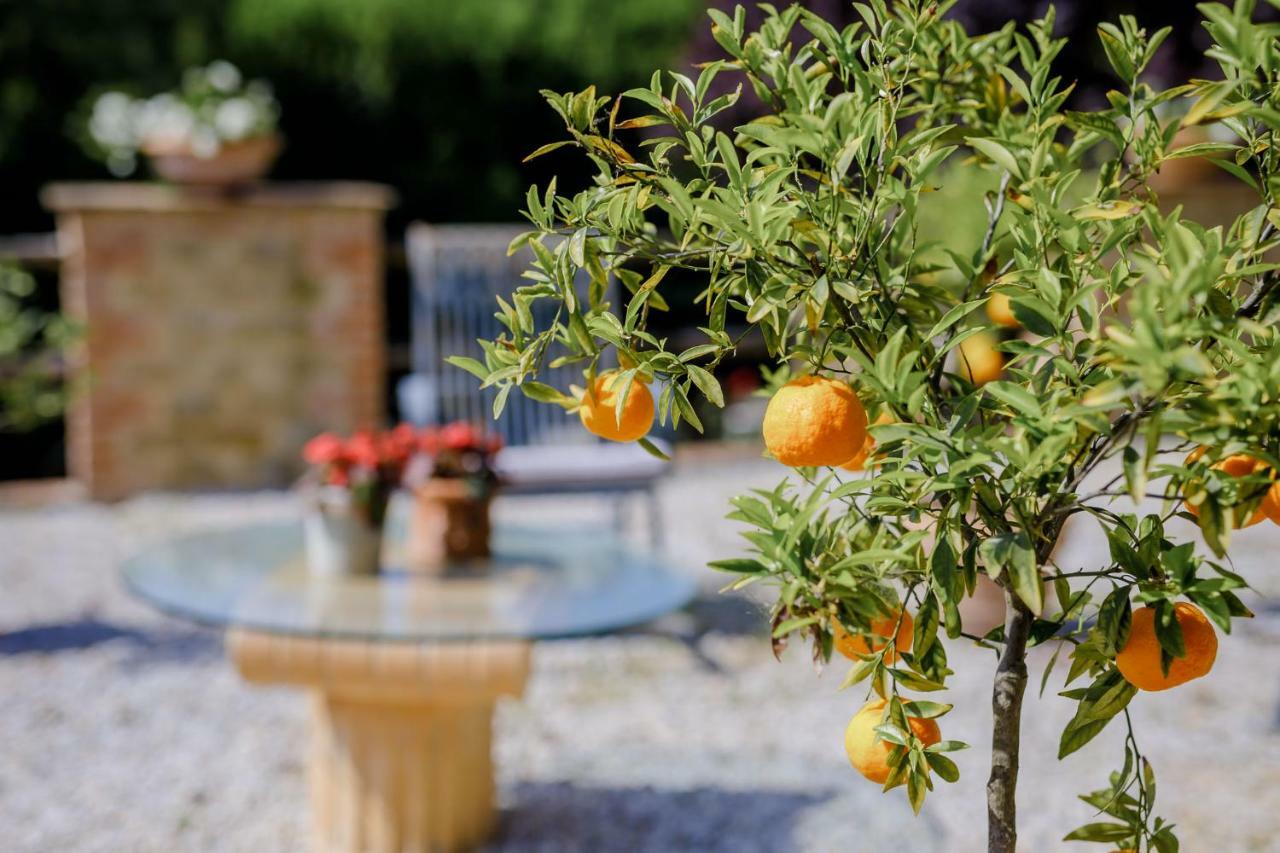 Villa Loghino Volterra Dış mekan fotoğraf