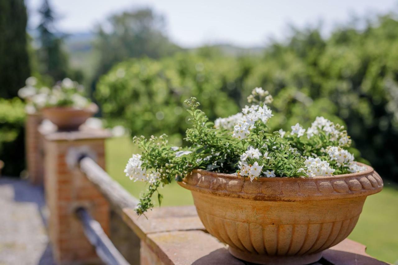 Villa Loghino Volterra Dış mekan fotoğraf